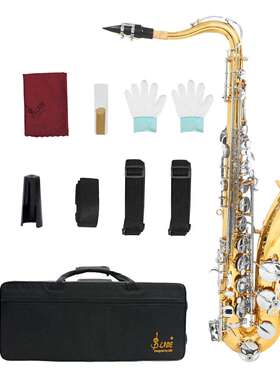 SLADE降B调次中音萨克斯乐器乐队乐团专业演奏金色银键萨克斯风管