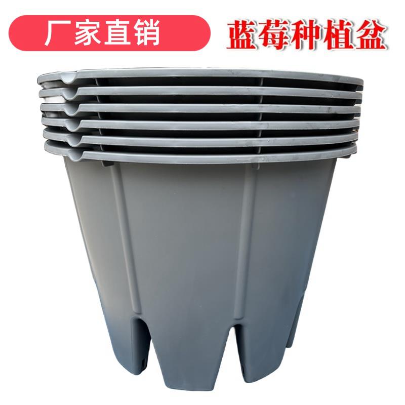 蓝莓种植专用盆塑料花盆加厚树脂圆形控根盆绿植花卉大中小号透气