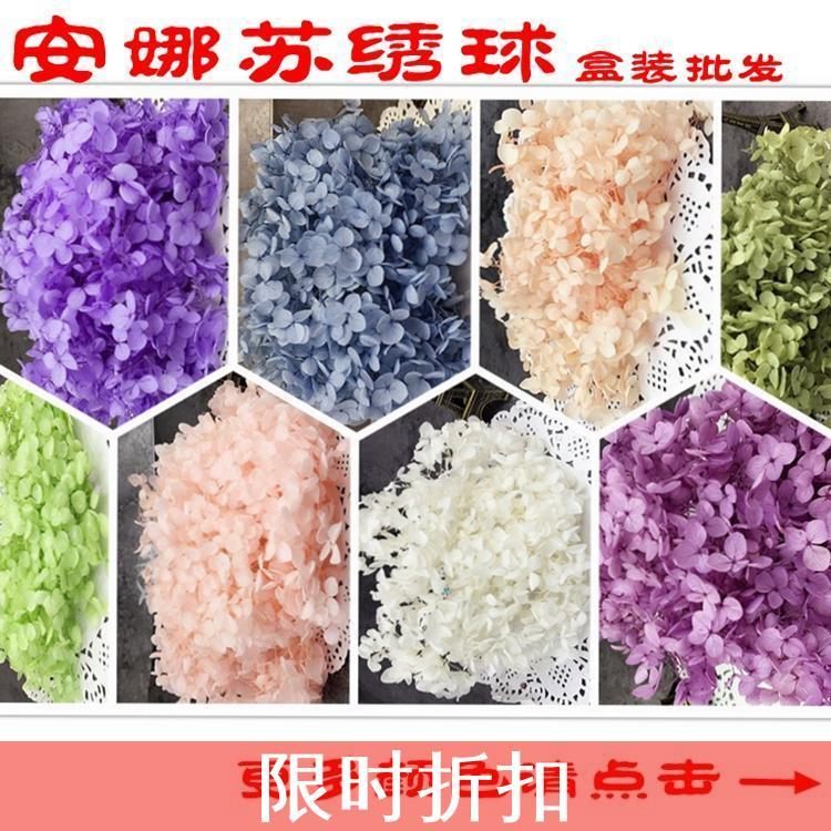 大客户永生花安娜绣球盒装(20克)安娜苏特小叶片新娘装饰diy配材