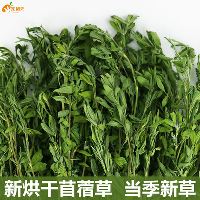 烘干紫花苜蓿草兔粮荷兰猪草兔子草饲料苜蓿草幼兔粮干草龙猫粮食