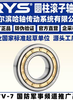 RYS 哈轴传动 RN NF N NU NJ NUP 308 309 310 E M EM 圆柱滚子