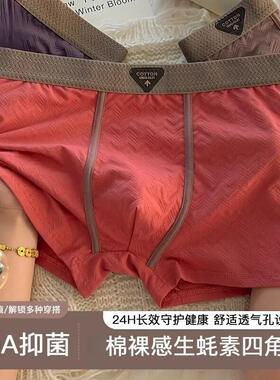 岑阁精选好物生蚝精10A级男生四角裤运动包裹简约高弹棉四角内裤