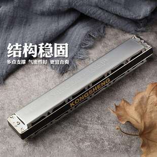 孔声24孔重音演奏C调口琴专业初学者练习成人进阶乐器NO.2430口琴