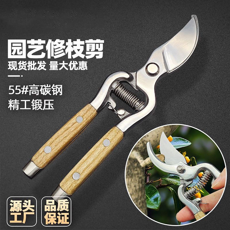 德国不锈钢树枝修枝剪采摘水果花木剪园林果树花卉枝嫁接剪刀工具