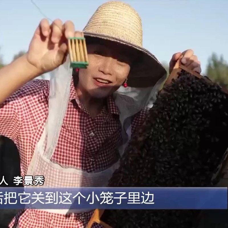 玻璃瓶装无加工原蜜 陕西槐花蜜500g与椴树蜜礼盒组合