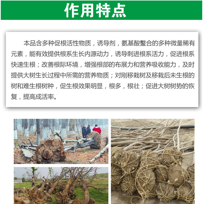 大树生根液植物通用生根剂果树木移栽成活液扦插大型植物发根液