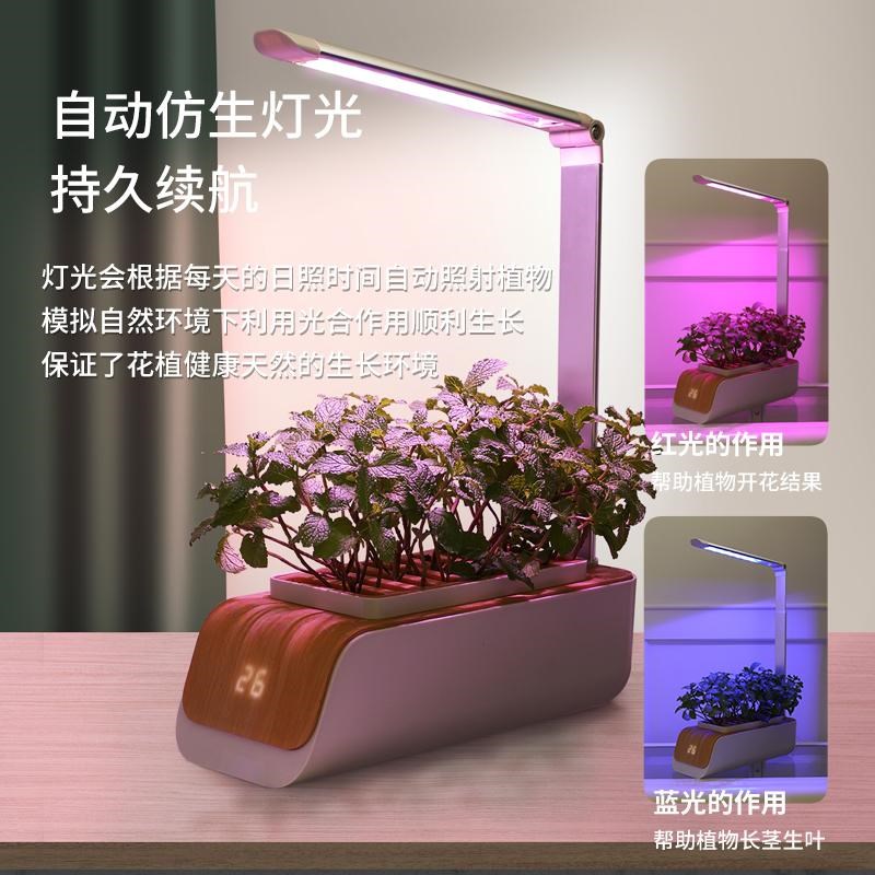 室内智能蔬菜花果植物育苗水培种植机无线款自动调节无土栽培花盆