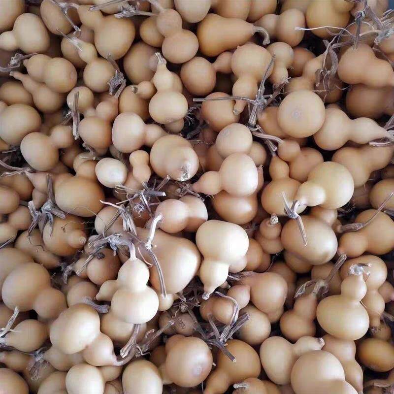 文玩葫芦摆件手把件把玩小葫芦手捻盘玩