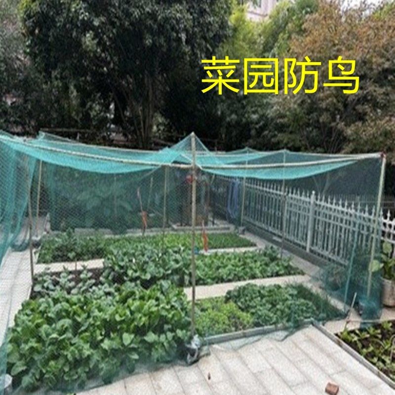 防鸟网山鸡网尼龙养殖网围栏网菜园网拦鸡网果园防鸟网
