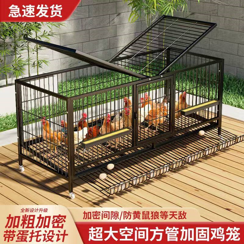 鸡笼自家用大号包邮养殖笼家用清仓养鸡笼子自动滚蛋鸡笼子蛋鸡笼