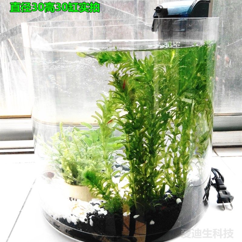 出口大号直筒玻璃鱼缸水草缸睡莲水培超白圆形圆柱直桶缸超大直径