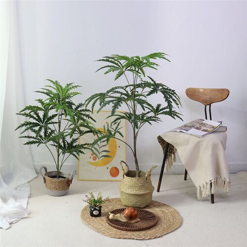 仿真绿植孔雀木大型室内客厅沙发边装饰北欧风落地摆件仿生假植物