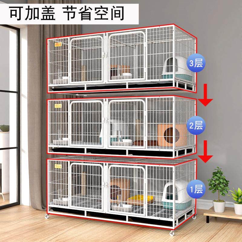 鸽子笼家用繁殖配对笼养鸽子专用肉鸽养殖笼子专业大型元宝鸽笼狗图片