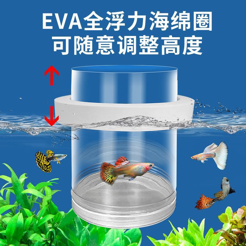鱼缸繁殖隔离盒孔雀鱼小鱼鱼苗分隔网凤尾鱼专用孕母鱼生产孵化器图片