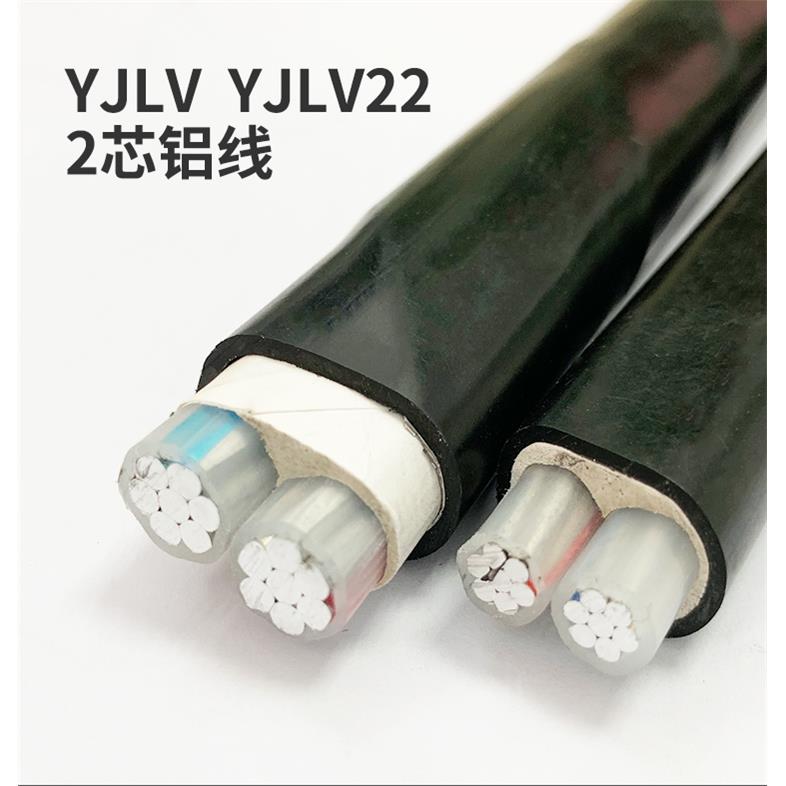 需定制2芯户外电线国标电缆线铝线6 10 16 25 35 50平方国标两芯