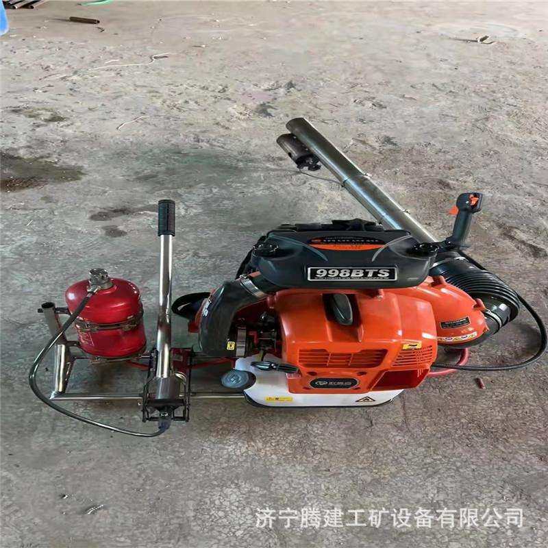 CXRB-1型道岔吹雪融冰机 内燃式除雪吹雪融冰机背负式汽油吹风机,鲜花速递/花卉仿真/绿植园艺,割草机/草坪机,淘宝优惠券,粉丝福利购,淘宝优惠卷