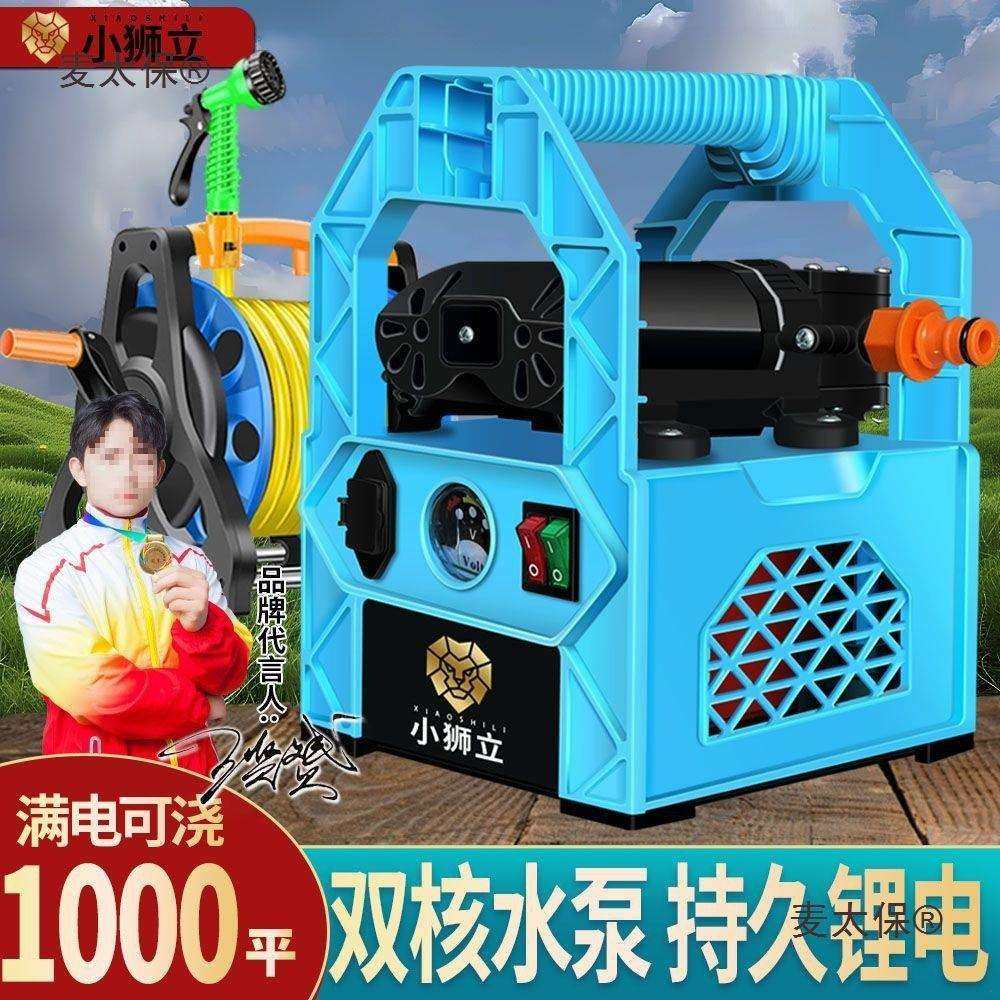 充电式抽水泵小型大功率浇水浇菜神器农用浇地便携锂电灌溉麦太保