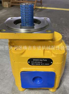 1119041050 JHP3166L-6T 适用LG956F齿轮泵