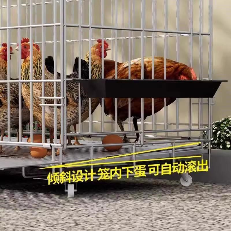 鸡笼子家用大号蛋鸡笼养殖笼加粗鸡鸭鹅笼鸡窝舍折叠鸡笼自动滚蛋