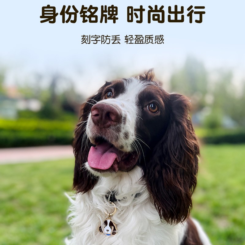 宠伴忠笙定制狗牌宠物防丢身份铭牌时尚出行配饰柯基狗牌刻字吊牌