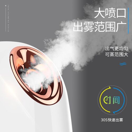 蒸脸仪纳米补水喷雾器冷热温喷机美容仪打开毛孔排毒家用保湿脸部