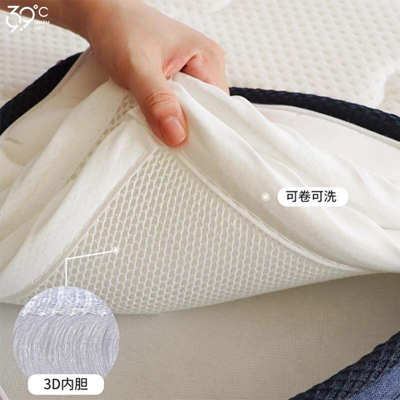 3d空气纤维垫2cm床垫硬加软三d丝材料超薄款透气网榻榻米薄垫子