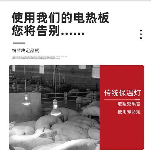 防抓防咬冻防水高保温垫毯大型宠物犬狗露天取暖户室外阳台电热板