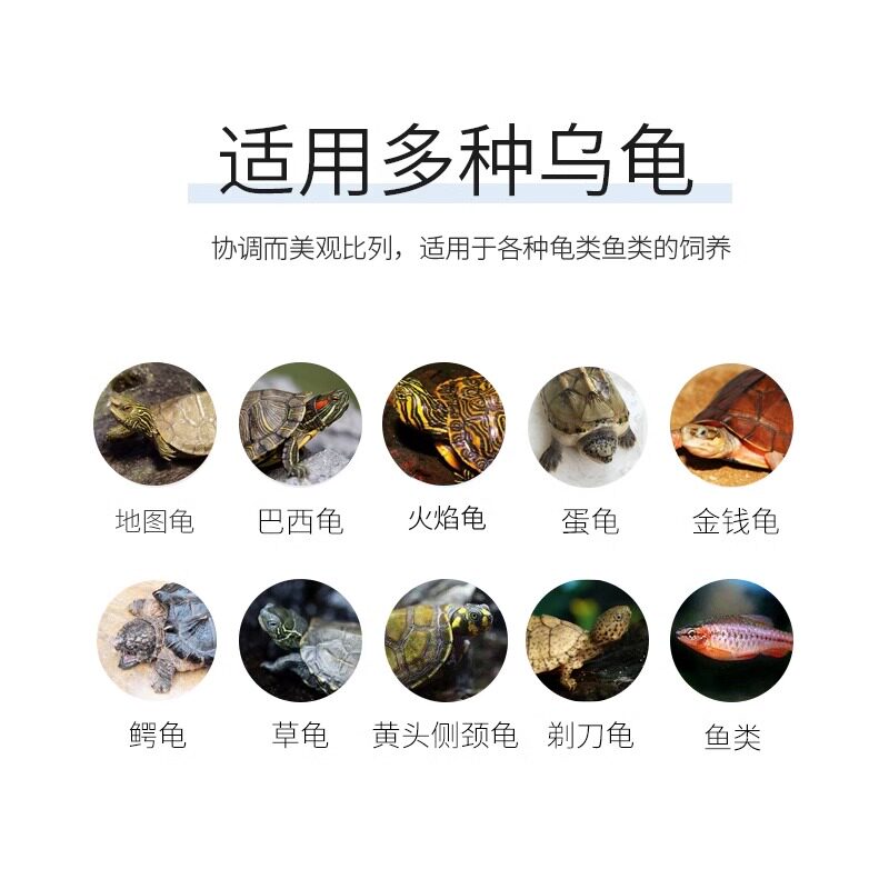 乌龟缸带晒台生态别墅小房子家用防逃养龟专用饲养箱巴西龟鳄龟盆
