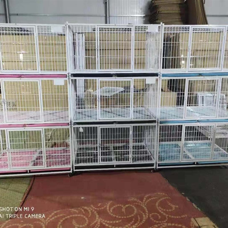 金奥110猫笼 笼子 笼具 养殖笼 繁育笼 家用猫笼 宠物店寄养 别墅