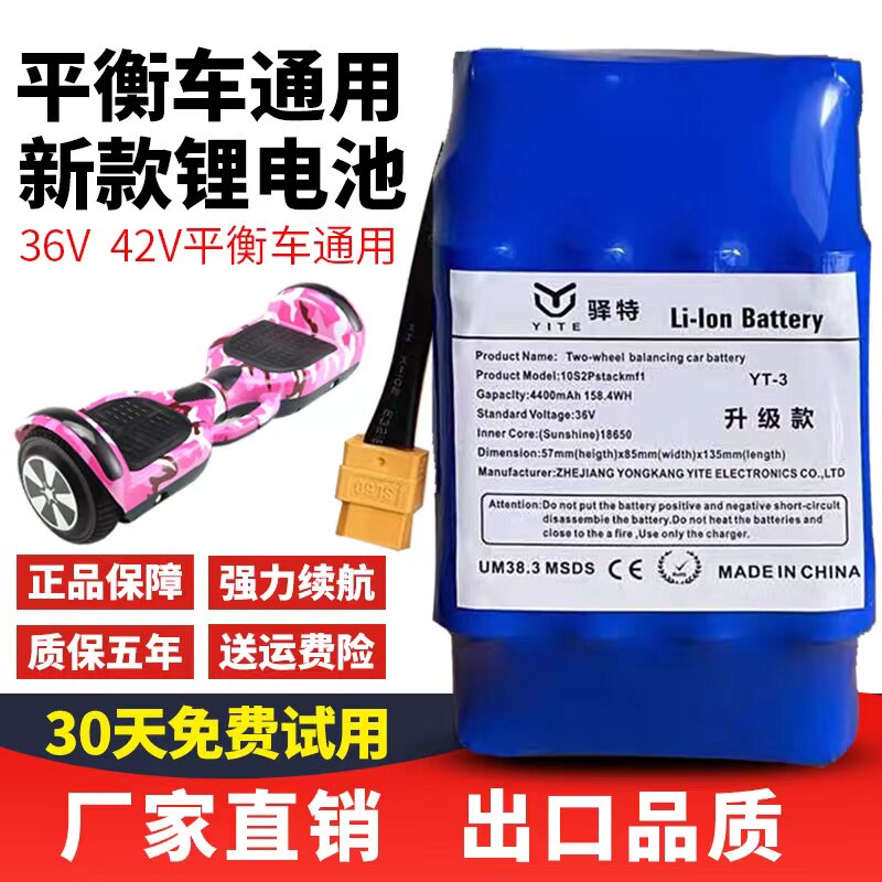 电动龙吟平衡车电池36v42v电瓶阿尔郎双轮扭扭车锂电池组专通用行