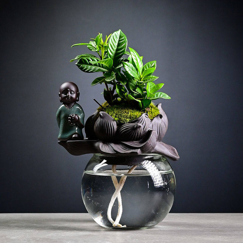 文竹栀子花水养创意懒人自动吸水盆栽花卉室内办公室网红创意植物