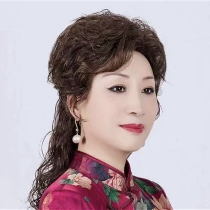 官方新款卷发全真发复古假发片女头顶补发块遮白发轻薄羊毛卷发片