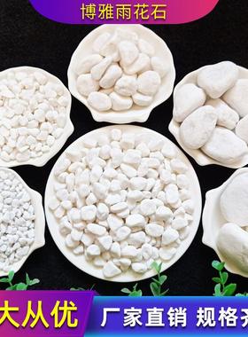 天然白石子白色鹅卵石雪花白砾石园林园艺景观造景铺地