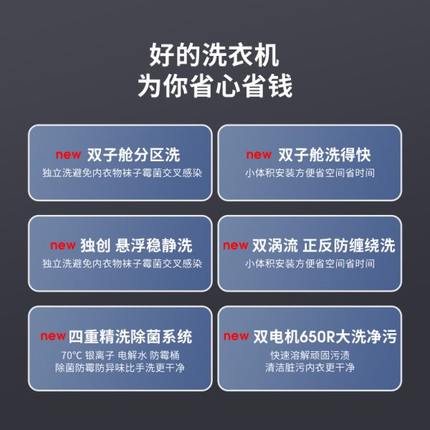 拜飞双桶内衣裤洗衣机全自动洗烘一体家用专用小型迷你袜子清洗机