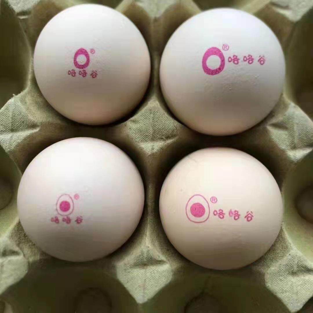 鸡蛋喷码机FM-E6触摸屏流水线六头油墨喷码机整盘30枚2秒喷完设备