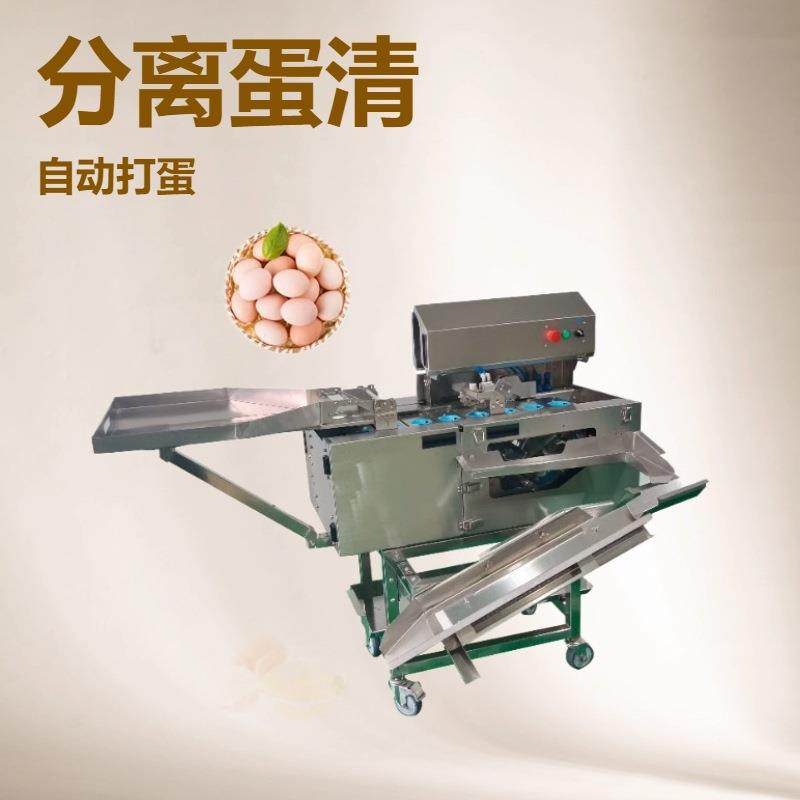 单排敲蛋机生产设备打蛋机清洗烘干鸡蛋设备,清洗/食品/商业设备,烘焙设备,淘宝优惠券,粉丝福利购,淘宝优惠卷