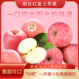 正宗烟台栖霞红富士新鲜脆甜苹果水果山东特产富士苹果5斤整箱