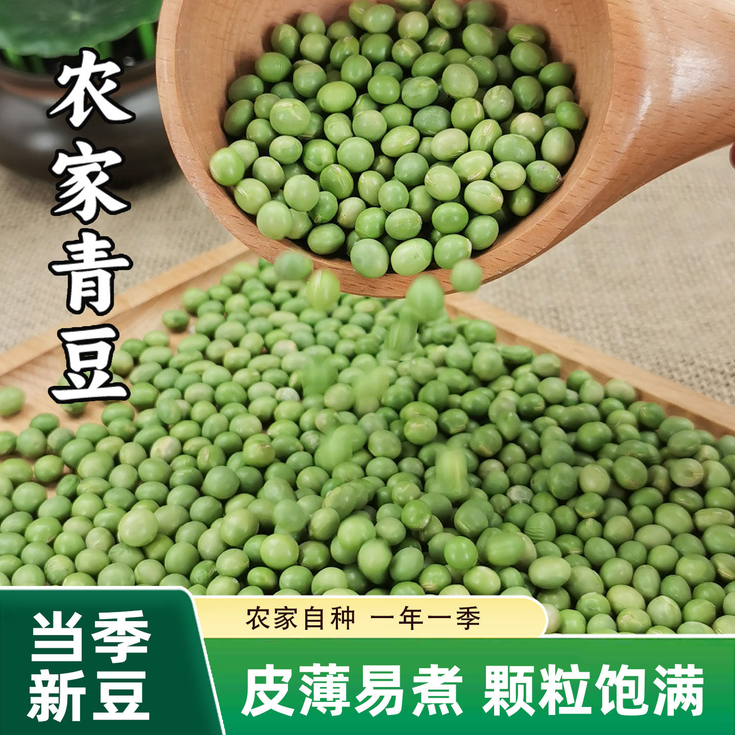 东北青豆五谷杂粮青干豆炒菜发芽打豆浆青大豆不是豌豆干货2025年