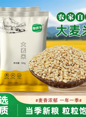 麦仁米250g新的去皮大麦仁麦粒麦米麦子糁煮粥煲汤豆浆五谷杂粮A