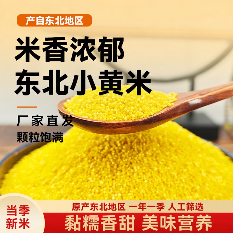 东北黄小米1斤农家自产新米糯小米煮粥月子米五谷杂粮粗粮小黄米