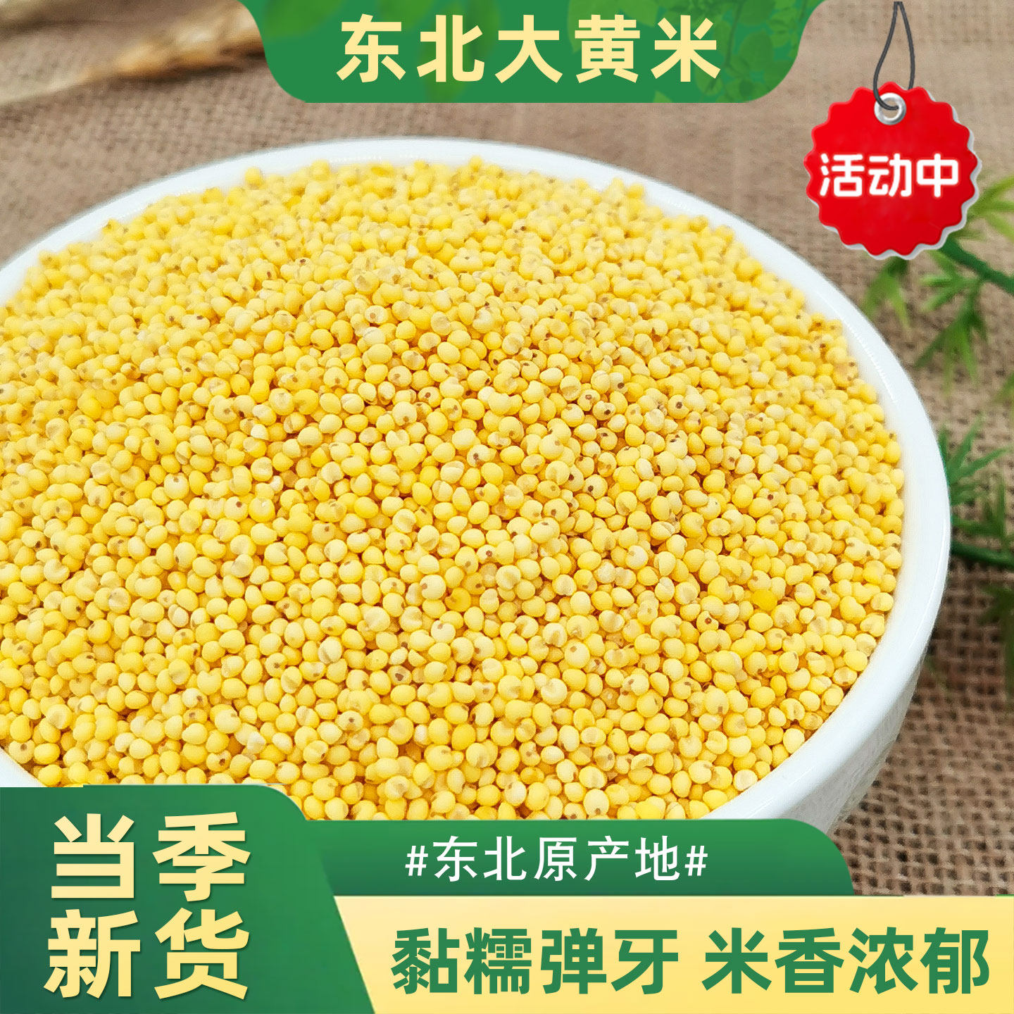 0农家大黄米新米黄米饭包粽子专用五谷杂粮黄黏米糯米当季粗粮