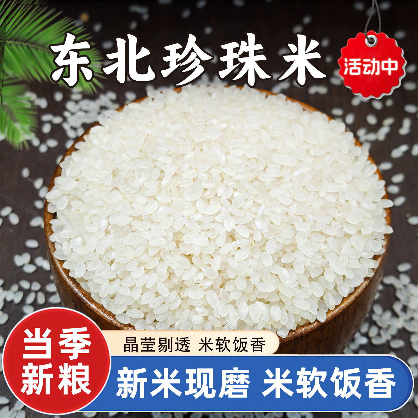珍珠米东北大米小包装农家当季新米圆粒香煮粥清香营养稻香米大米,粮油调味/速食/干货/烘焙,大米,淘宝优惠券,粉丝福利购,淘宝优惠卷