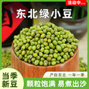 东北小绿豆新豆非转基因五谷杂粮豆子绿豆粥发豆芽专用农家自种