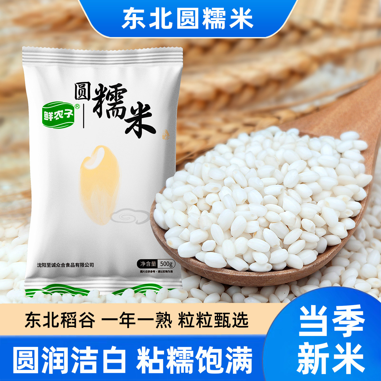 东北圆糯米颗粒饱满粘大米江米包粽子酿酒煮粥五谷杂粮