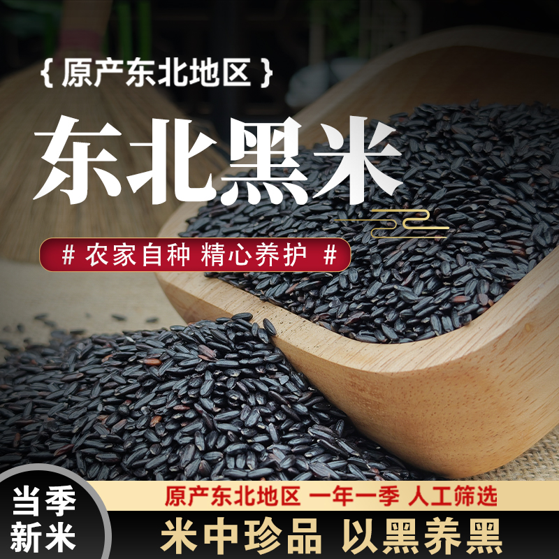 东北黑米当季新粮农家自产黑香米五谷杂粮粥健康粗粮五常大米