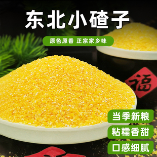 东北小碴子玉米糁500g细小玉米粒苞米碴子粥五谷杂粮笨玉米碎粒