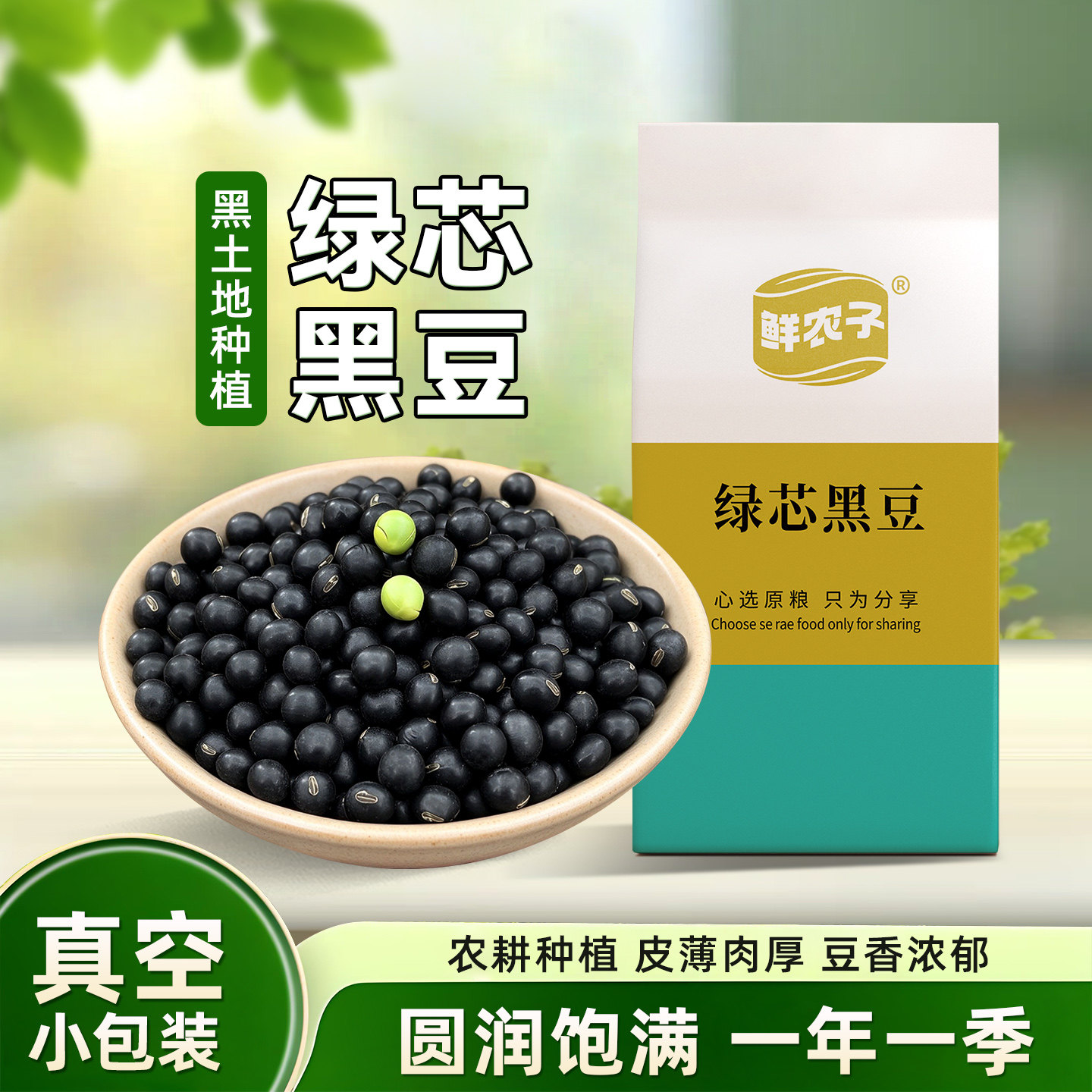 【真空小包装】绿芯黑豆250g东北黑土地绿芯黑豆打豆浆醋泡生豆芽