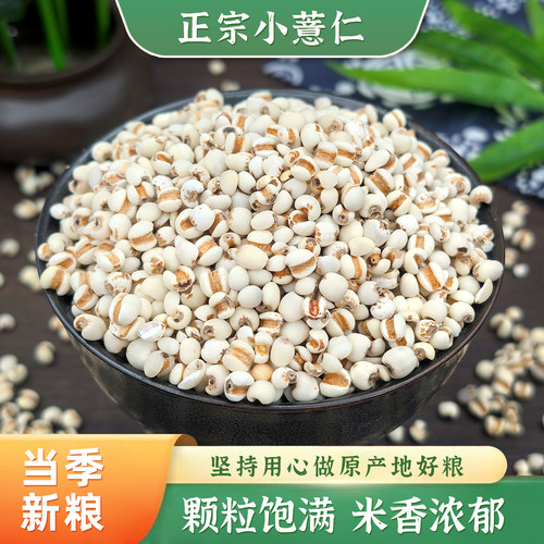 贵州薏米小薏仁米新货新米薏苡仁意米新鲜正宗意薏仁糯薏米杂粮