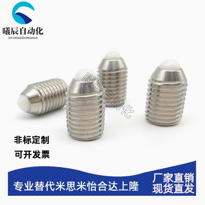 球头柱塞ZAF21/ZAF22/ZAF23/NBSS/NBSM/NBSZ3/4/5/6/8/10/12/16