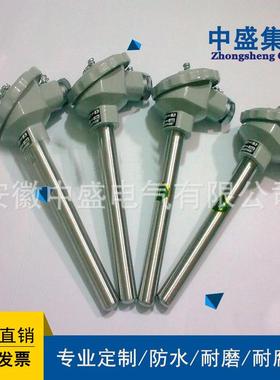 中盛热电阻炉壁热电阻WZPK-196，L=300mmsus304